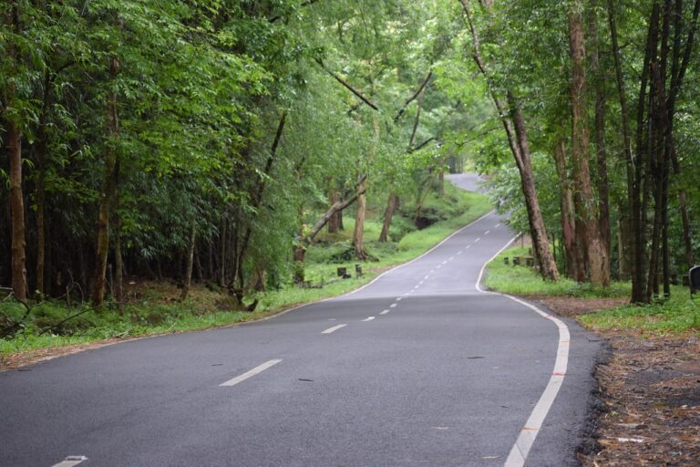 Exploring Green Bond Financing for Sustainable Automotive Supply Chains: 11 x play login, India24bet, Skyfairs signup